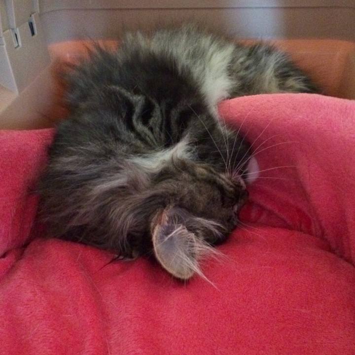 338849cd 4ea7 4df1 8536 9d3cf30ef369