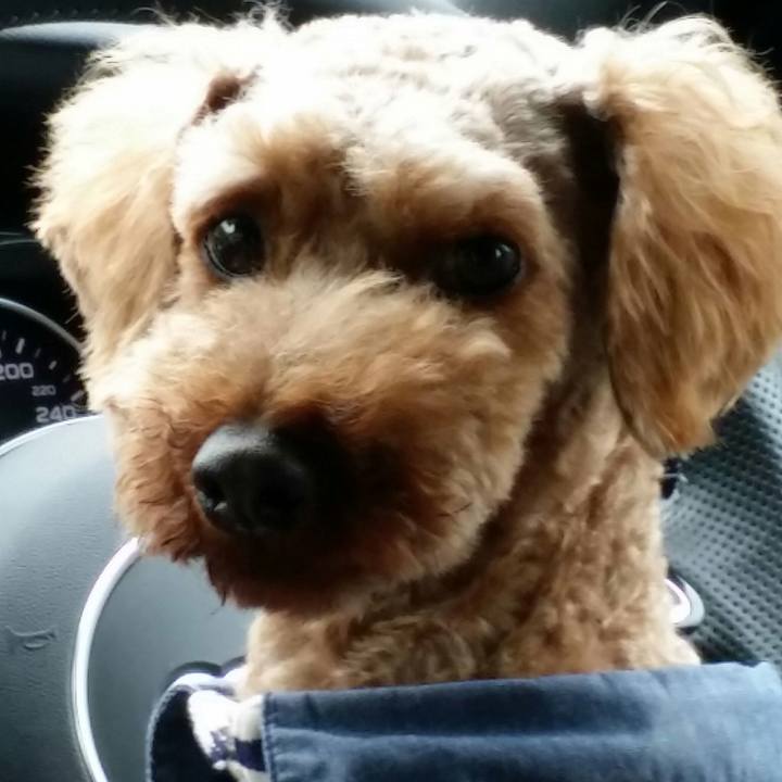 33888113 00e9 4209 b832 48109500b4b1