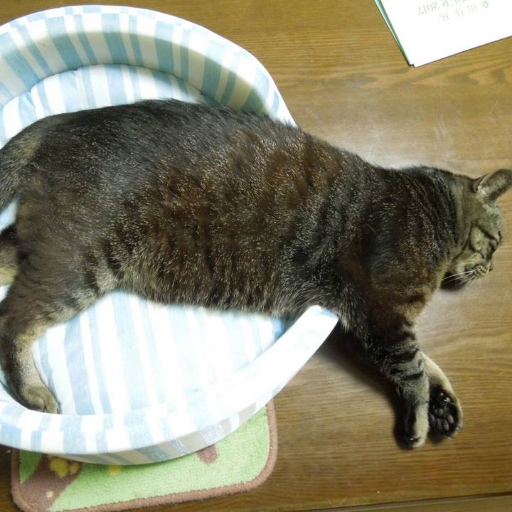 33889aaf 4ca1 44ce b49c 102f0de56d85