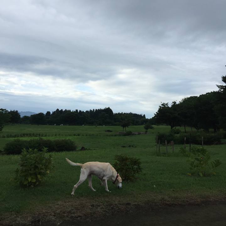 33890d6f b85a 4eba be99 64d8d286eb7a