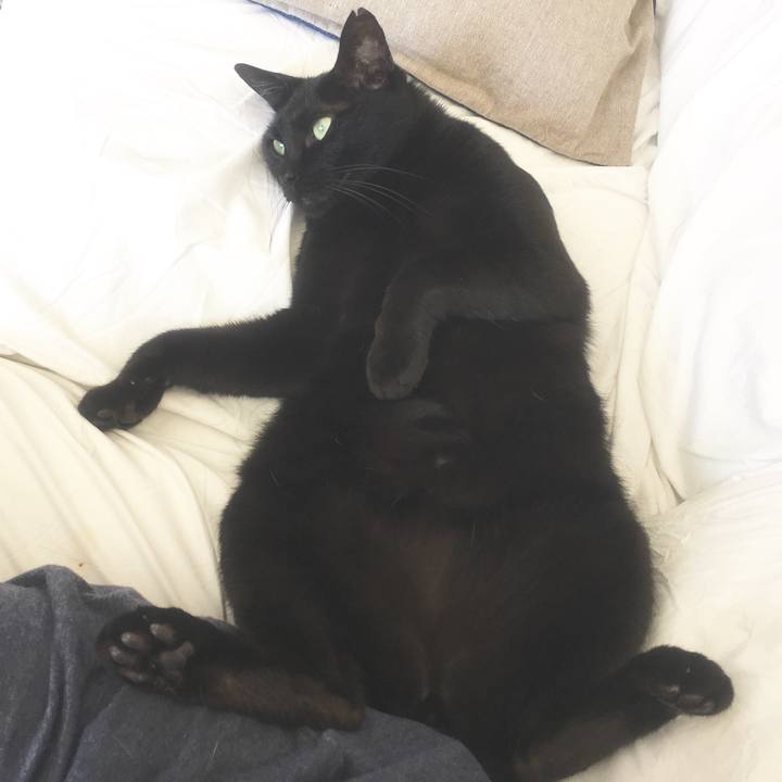 33892bce 1b55 4d60 9499 59f474bc0f4b