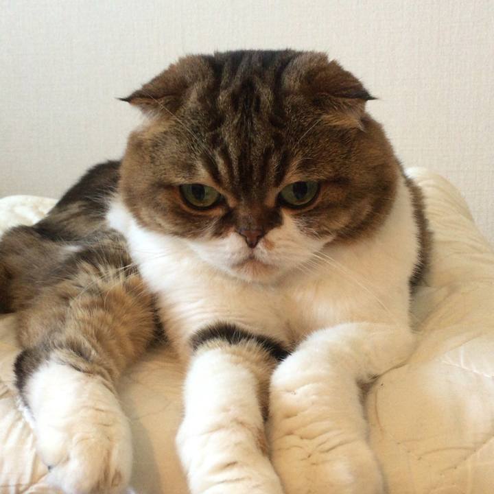 3389988e 0149 4dff a442 fced95caffb1