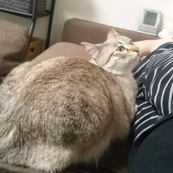 3389bcc0 334c 45d6 92e4 44bfc2a19a33