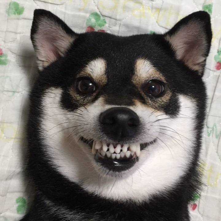 338a290b 40a1 4ad3 8ccb 4e4c1a94e298