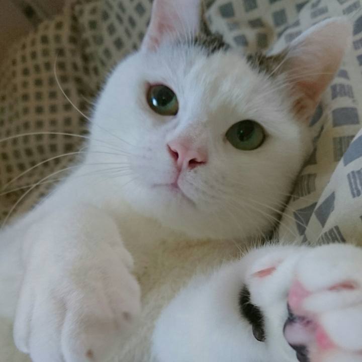 338a4bef f40e 4518 b148 235f0253f6a7