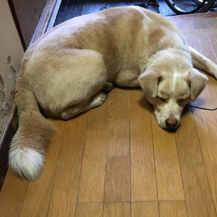 338ab812 37de 4273 823e a3831dff3a67