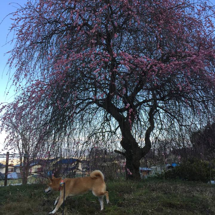 338b52c9 8864 4558 9565 444d8ddc46c7