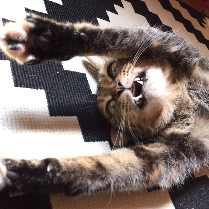 338c373f 814e 4eeb b0cf 097295039683