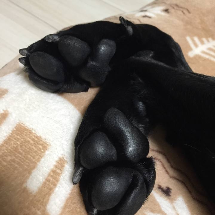 338cbda5 7460 4085 ba8e 460a6fbd15c8