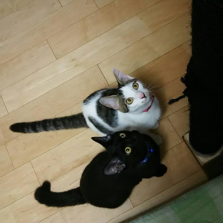 338d3248 90c5 4729 b863 ff8c70ae9850