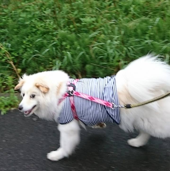 338d5510 d151 48a5 84bc 81243b8854f9