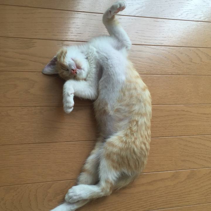 338e018f 11a7 4389 bbef 9e00a5d9b6e0