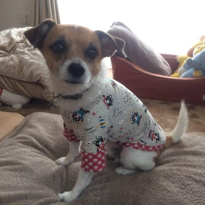 33912f12 a9d3 4075 988e c5cc7acebb20