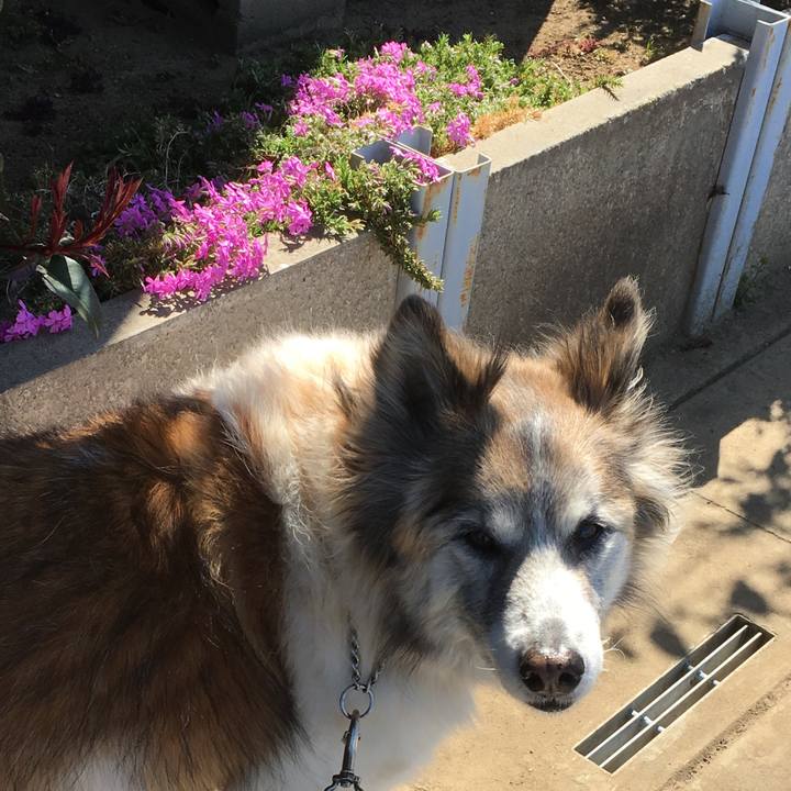 3391511a 7f4a 423e a0fa fe7172708988