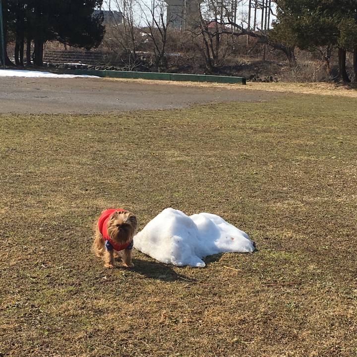 339180e5 ecbb 4817 92cd cf8565f87107