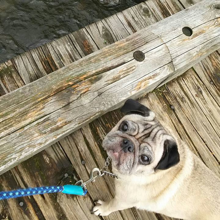 3391a8a1 ac41 4556 a994 8f969c31c0fb