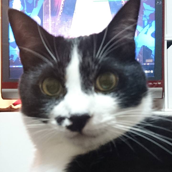 339236bc 89e2 4219 a573 cfd39bc47ef7