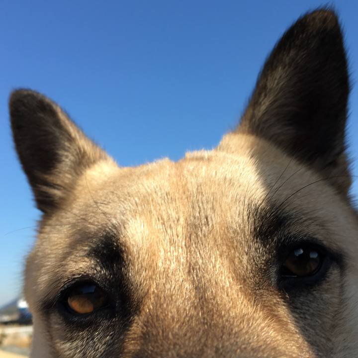 3392a8a3 df4b 4a07 89e4 b08d8aa88de5