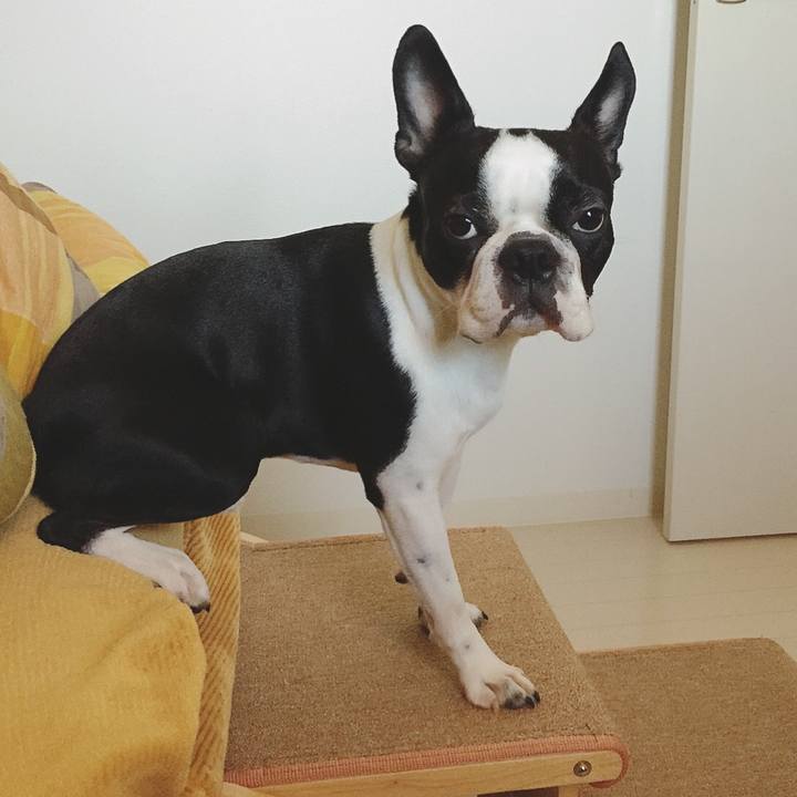 3392e205 f0f3 4b47 bca5 6abc4a16ac27