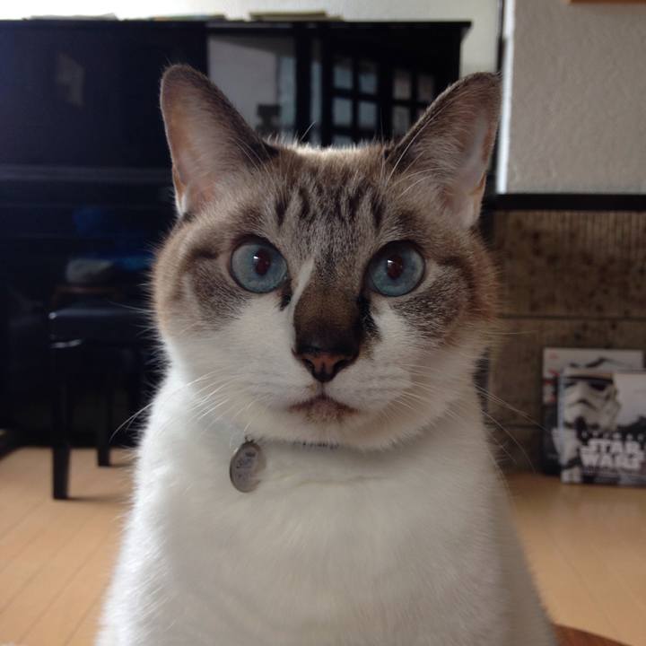 3393b30a 9b7a 4f3e a0e3 d59b7eb52652