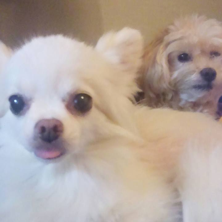 33940231 954f 45c7 bd9c 17227d8cd4fa