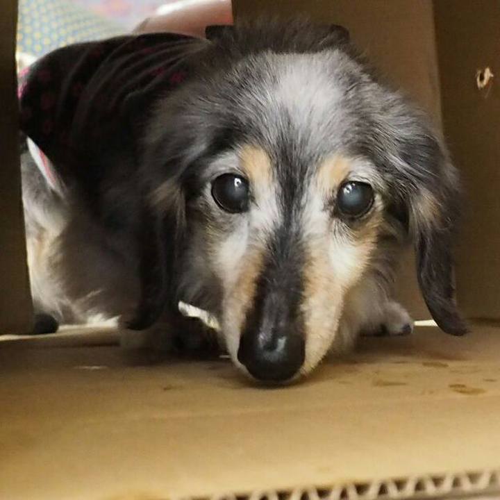 33945304 84a1 45f7 bd8f cc7c9cba24e0