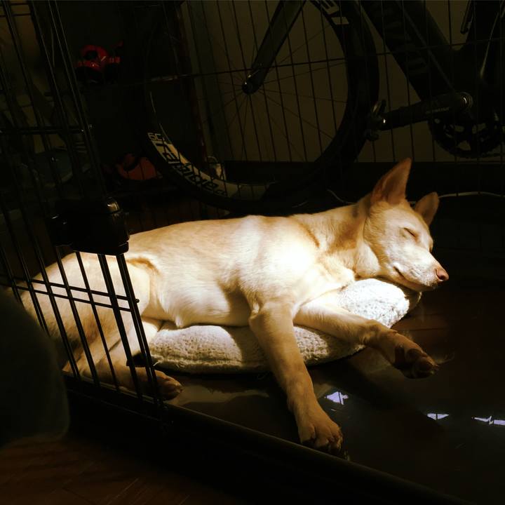 3394e8b4 c8a3 4237 a164 76b4323f6255