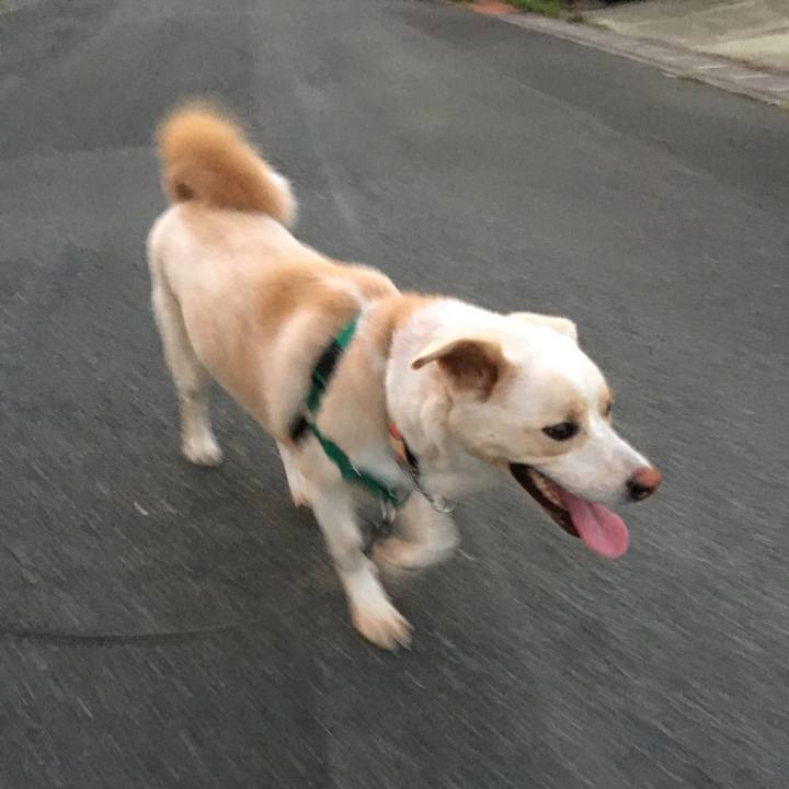 3394ef70 c5b5 479f 8e6a 58b092094d41