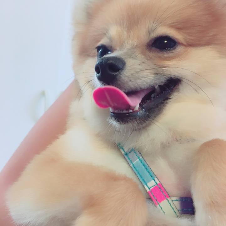 3395cd97 d682 4543 bd72 ce53464ebaf9