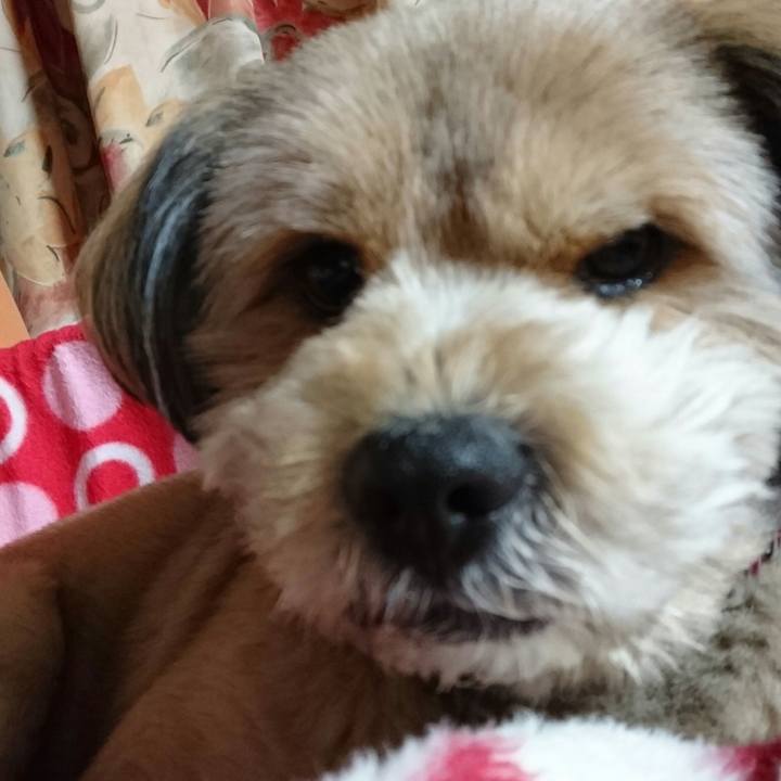 3395f701 b632 4354 ba2b 4cfd7462cffc