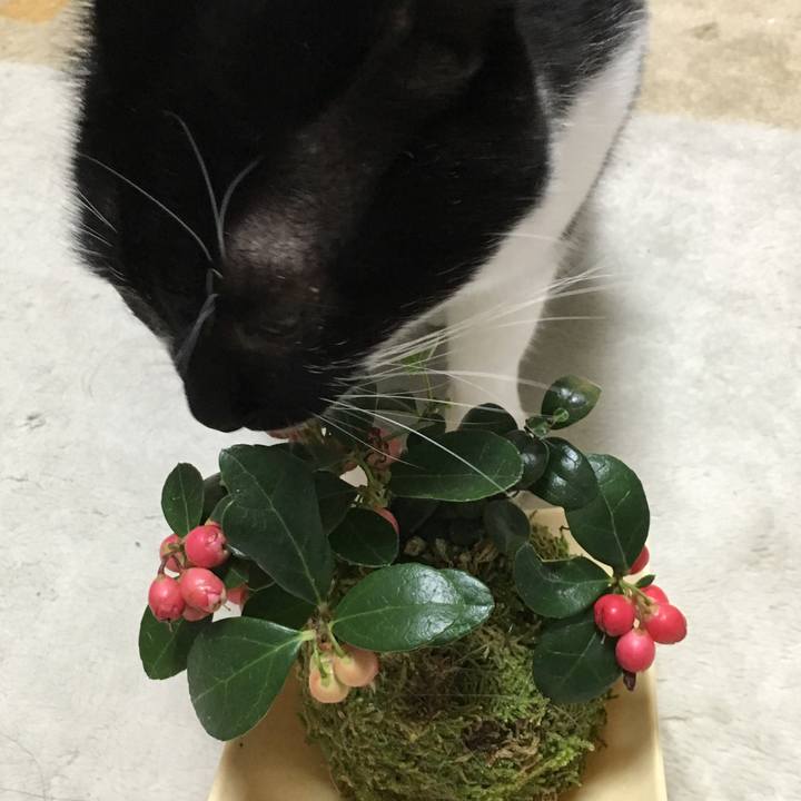 33969ec3 eabe 4d07 ab97 1e4af8a863f2