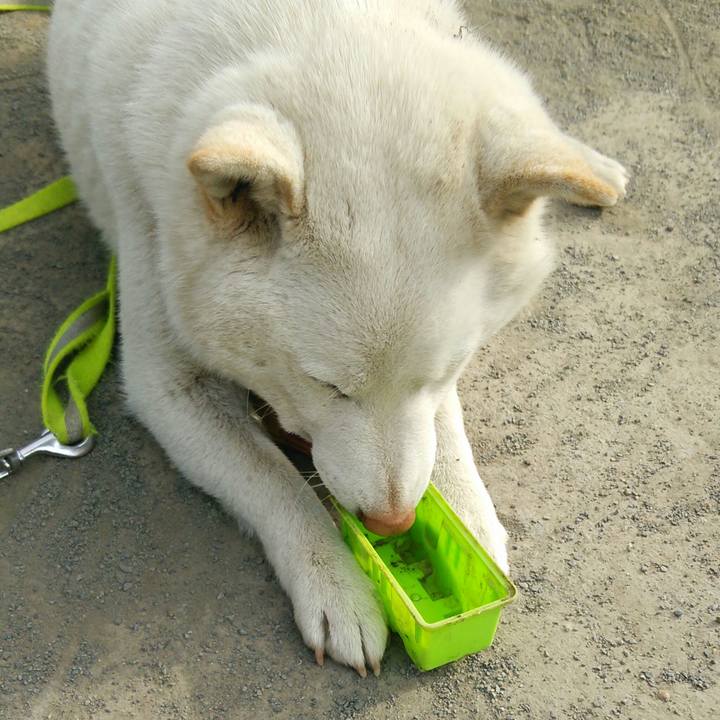 3396bb40 5498 4e12 a2a5 5b35fbbeb803