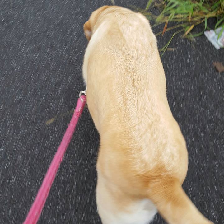 3397abf2 663a 40e8 b84f ef397dcb2e4f