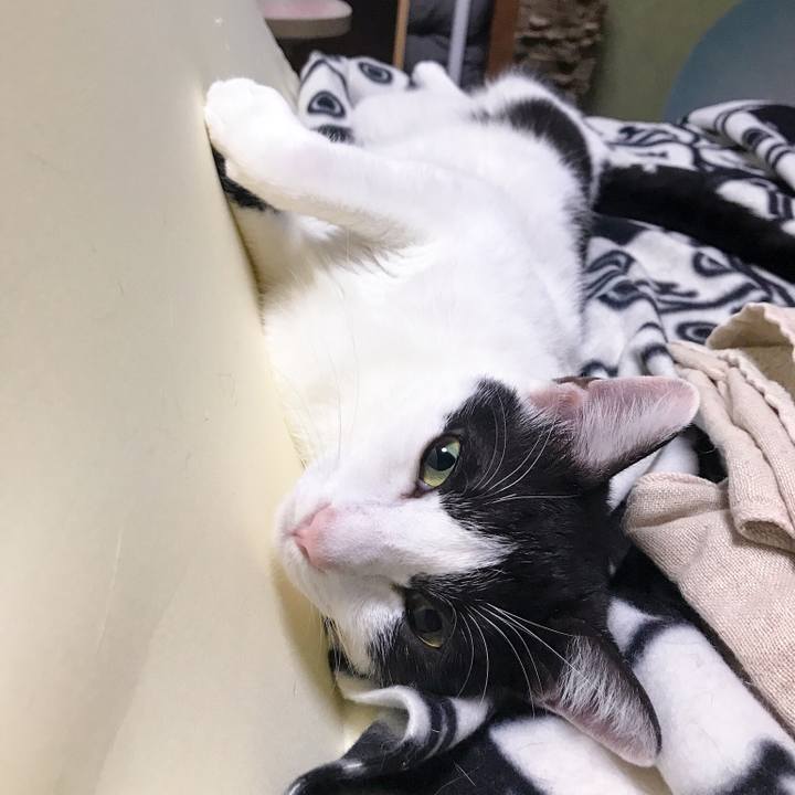 3398c929 a01c 47b4 af5a 87f674ed807e