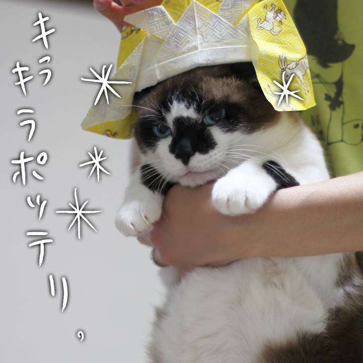 339904b5 35f2 4c39 8cbc c70cd58d2893