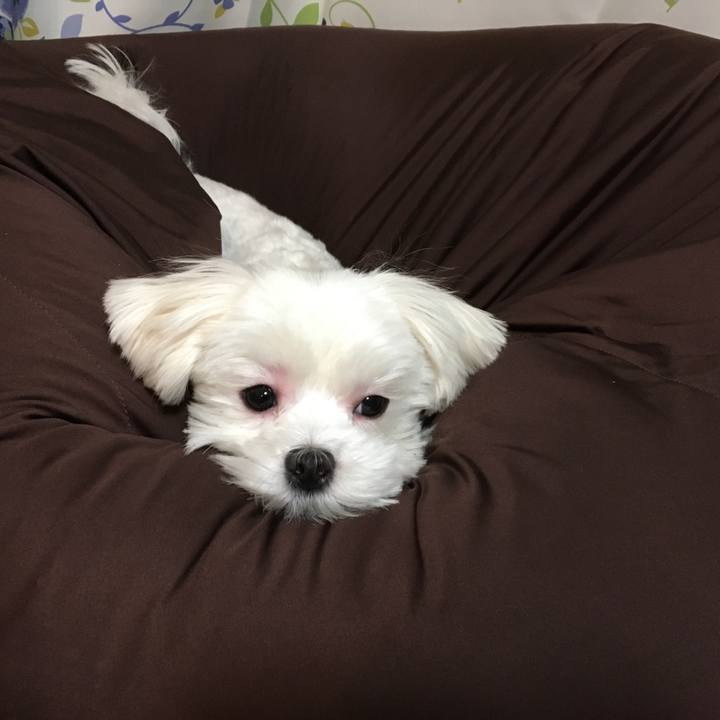 339982f0 2367 460e bf95 e121b6e70f9c