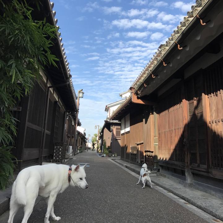 339a6412 b68c 4e28 bfb3 39a57b226e0c