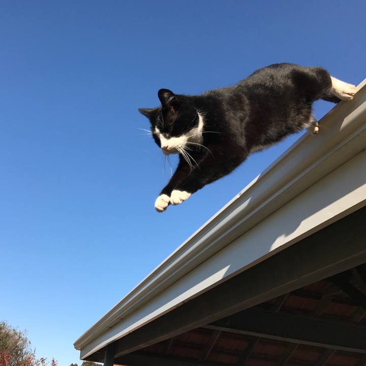 339a9adc 4a28 4968 b92b 80cdcbd82999