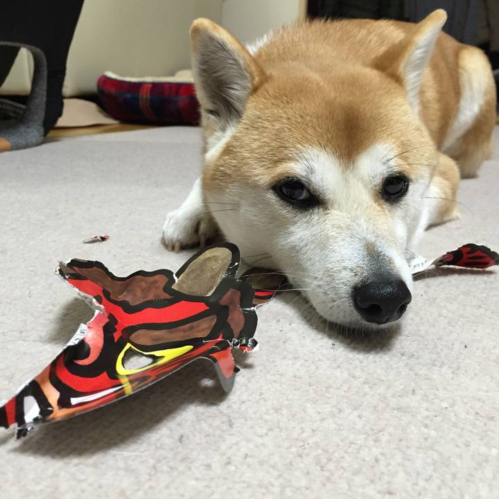 339ab190 b325 44aa 9428 c0c579a882a0