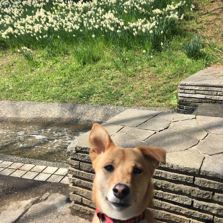 339b0154 c811 4e92 aa6c 172db10e1579