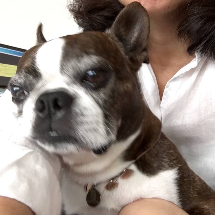 339b031a 10ac 467c 939a 0bd64febc01d