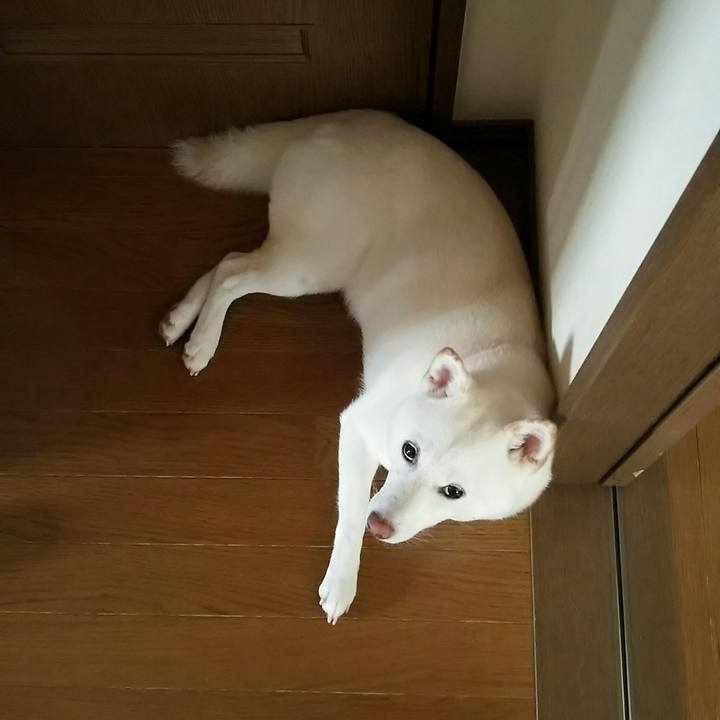 339b1c66 9cb2 4c4b a035 1d15257b1827