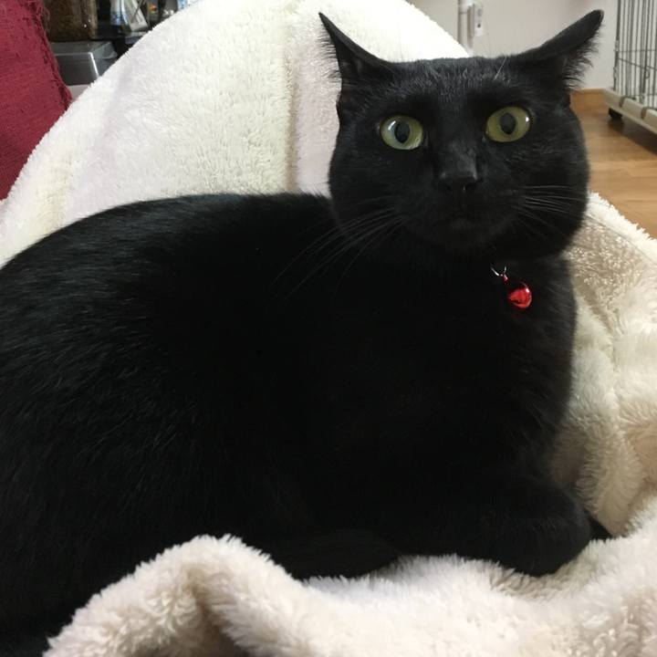 339b7f96 bbfc 405e 8545 9acf23d0a4ab