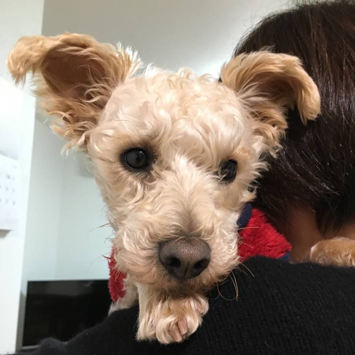 339ba698 35a0 4ccc 8f04 e4bc98f14e1d