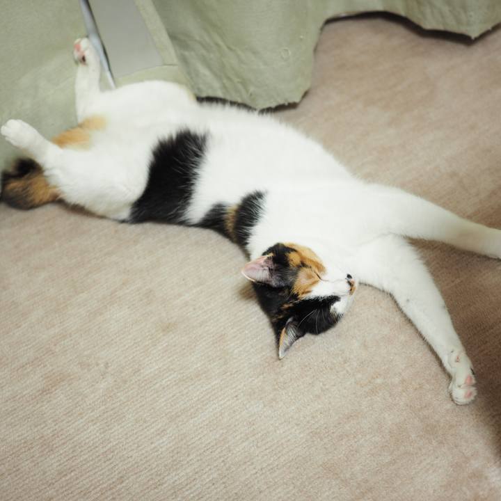 339bc118 b5cd 43e3 b283 d4b98e11ffb5