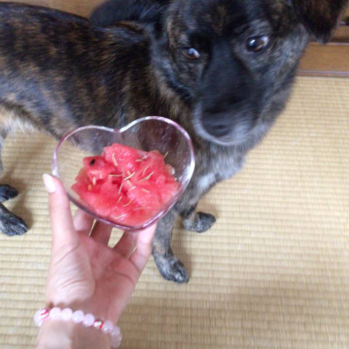 339bd61d 5df3 4343 90f4 408827d24b0d