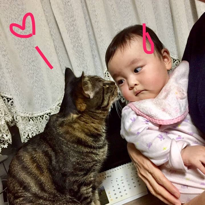 339c59ea e6fb 425e 9b08 068100f29680