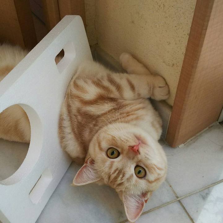 339c5a69 3341 4d6b ab8d f079018ea36c