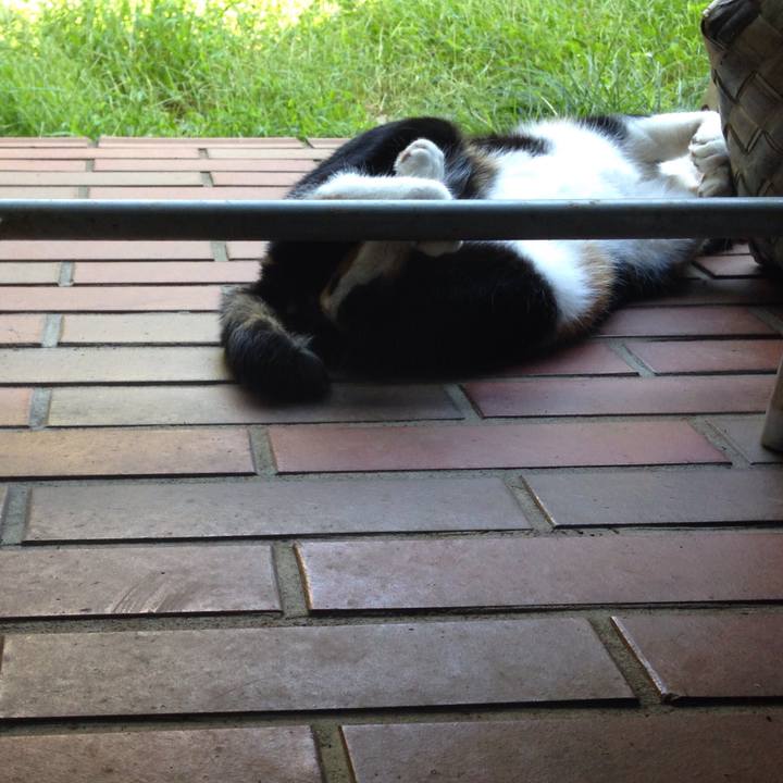 339c87c1 aa33 4632 868d 1dc6c6059cc0