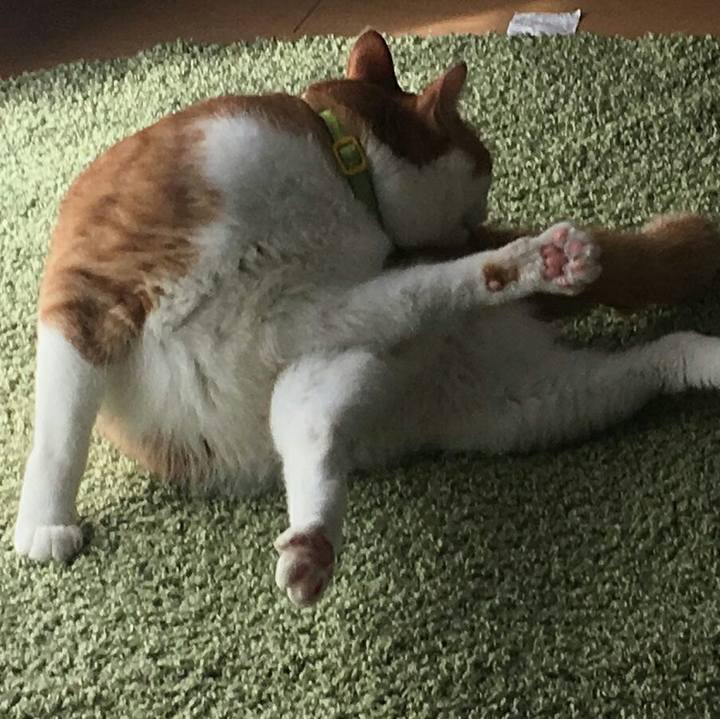 339d6bad 9094 40aa b19b 860321f781ff